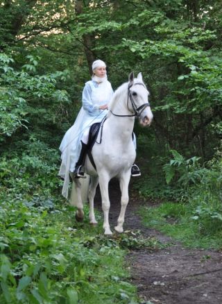 Vrouw verkleed als prinses op wit paard